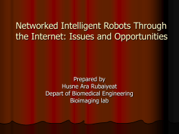 Networked Intelligent Robots Through the Internet: Issues and