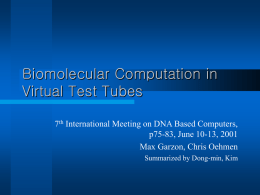 Biomolecular Computation in Virtual Test Tubes