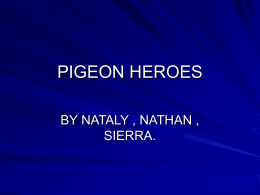 PIGEON HEROES - American Racing Pigeon Union