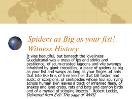 Spiders as Big as your fist! Witness History