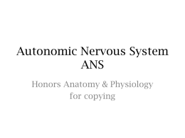 Autonomic Nervous System ANS