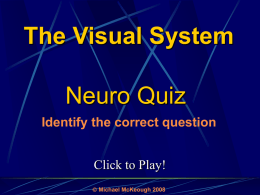 The Visual System: Quiz Game