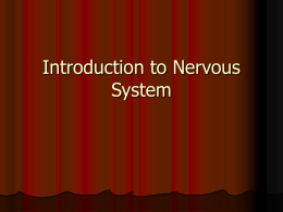 Introduction to Nervous System