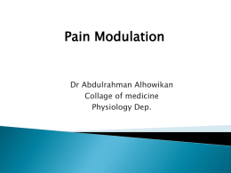 L27-Pain Modulationx2014-08-23 10:541.3 MB
