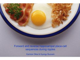 Forward and reverse hippocampal place