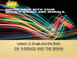 Ch. 9-Drugs and the brain