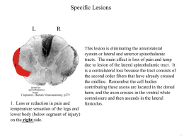 Test yourself on lesions in section pictures