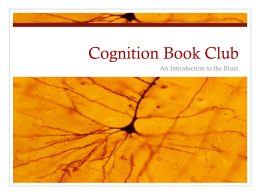 Cognation Book Club