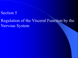 nervous system part 5 autonomic system