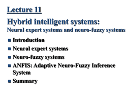 Neuro-fuzzy system