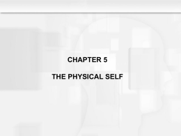 SR6e Chapter 5