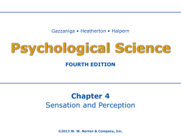 PsychSci4e_lecppt_ch04x