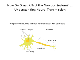 HOW DO NEURONS COMMUNICATE