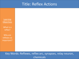 2.2 Reflex Actions [Recovered]