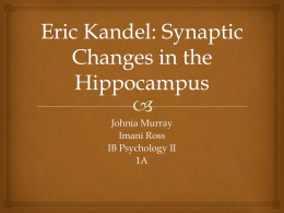 IB Psych II PowerPoint - Eric Kandel