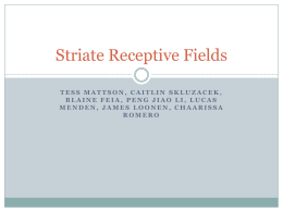 Other Receptive-Field Properties