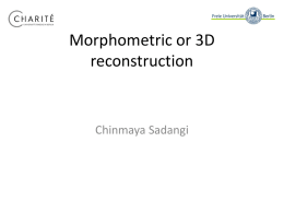 Morphometric or 3D reconstruction