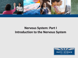 NMSI - 1 Intro to the Nervous System