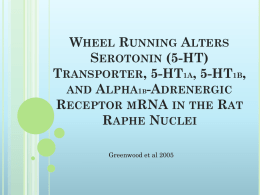Wheel Runnin Alters Serotonin (5-HT) Transporter, 5