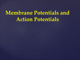 Membrane potential