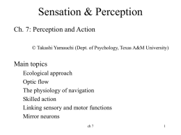 Ch 7 Perception and Action