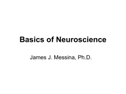 Basics_of_Neuroscience
