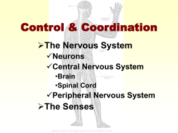 Control Coordination