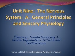 Sensory Pathways for Transmitting Somatic Signals into the CNS