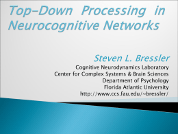 Top-Down Processing in Neurocognitive Networks