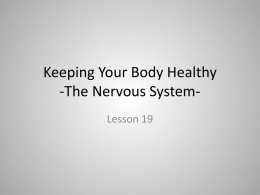 Keeping Your Body Healthy -The Nervous System-