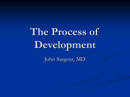 The Process of Development