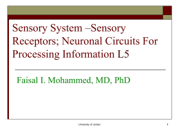 Sensory System–Receptor function L5