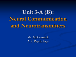 Neural Communication and Neurotransmitters