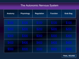 The Autonomic System