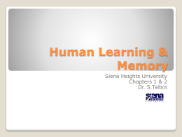 Human Learning & Memory