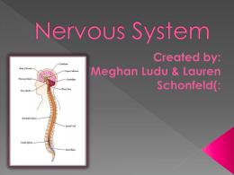 Nervous System - Hemlock Public School District