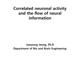 Correlated neuronal activity and the flow of neural