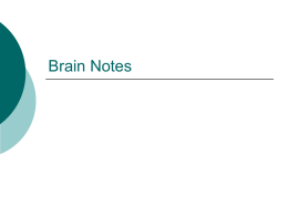 Brain Notes - Raleigh Charter High School
