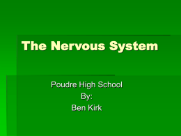 The Nervous System - Poudre School District