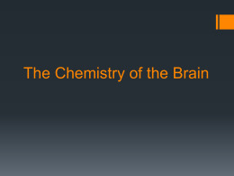 The Chemistry of the Brain