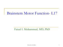 Cortical and Brainstem Control of Motor Function