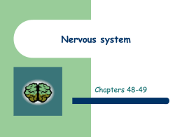 Nervous system - Lancaster High School