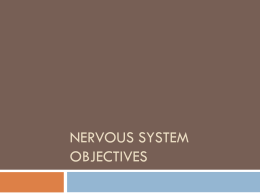 Nervous System objectives - Downey Unified School District