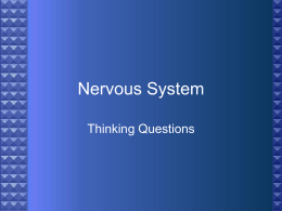 Nervous System - science