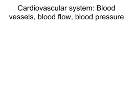 Cardiovascular system: Blood vessels, blood flow, blood