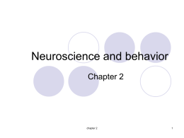 Neuroscience and behavior