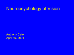Neuropsychology of Vision - Carnegie Mellon University