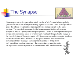 The Synapse - University of Toronto