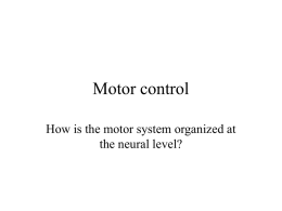 Motor control - Jack Baskin School of Engineering
