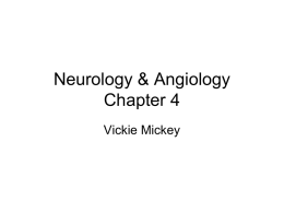Nurology & Angiology Chapter 4